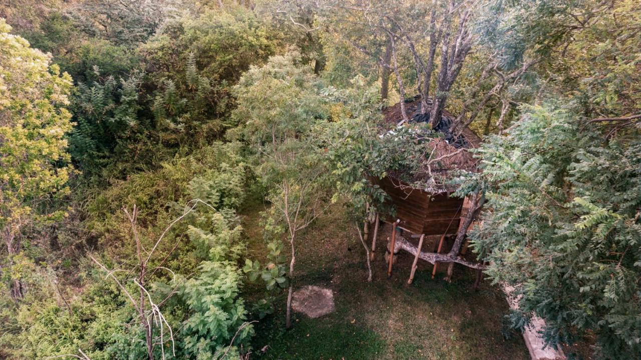 La Pentera Hotel Hambegamuwa Exterior photo